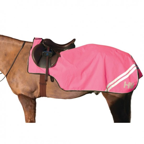 HyVIZ Pink Fleece Lined Reflector Exercise Sheet