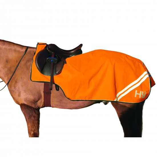 HyVIZ Orange Fleece Lined Reflector Exercise Sheet