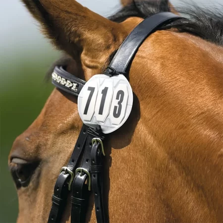 bridle numbers