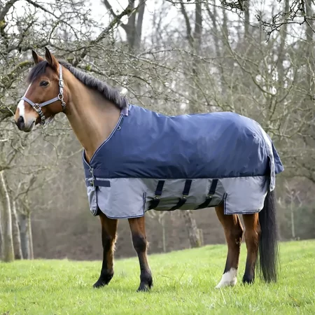 Equitheme Tyrex 600D Belly Belt Lightweight Blue/Grey Turnout Rug