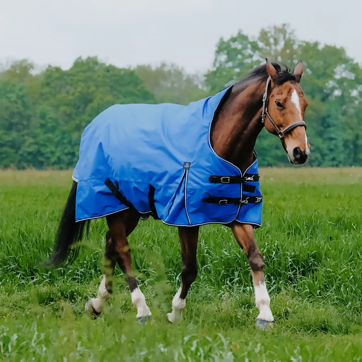 Equitheme Tyrex Aisance 1200D High Neck 50g Turnout Rug