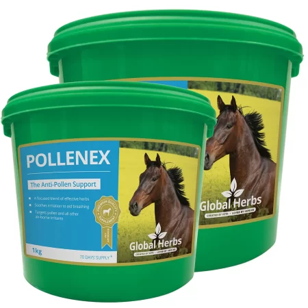 Global Herbs PolleneX