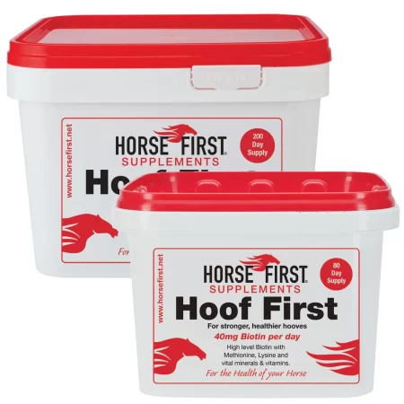 Horse First Hoof First