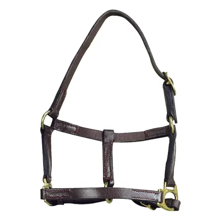 Norton Leather Foal Headcollar