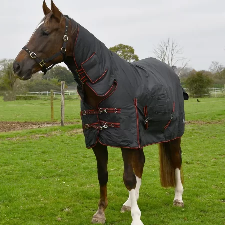 Rhinegold 1000D 350g Aspen Black Heavyweight Combo Turnout Rug