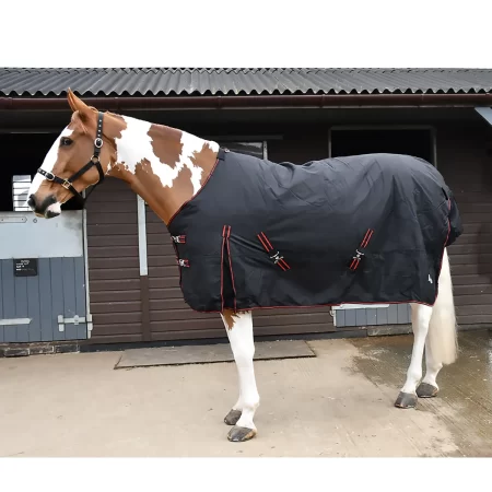 Rhinegold 1000D 350g Thor Black Heavyweight Turnout Rug