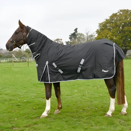 Rhinegold 600D 200g Konig Black Mediumweight Combo Turnout Rug