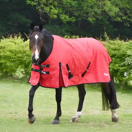 Rhinegold 600D 200g Konig Red Mediumweight Turnout Rug