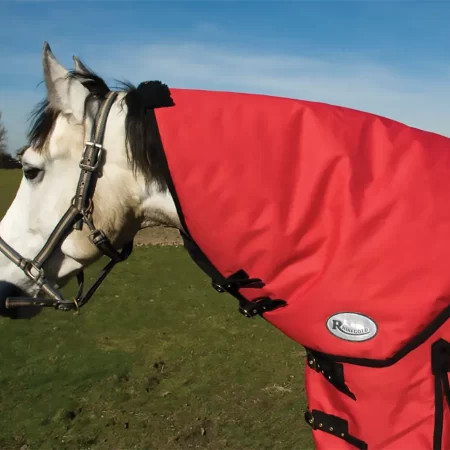 Rhinegold Konig Red Neck Cover