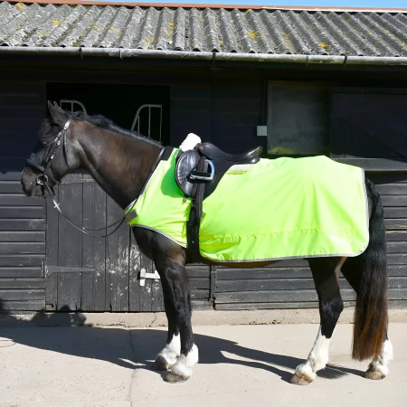 Rhinegold Yellow Fixed Chest Waterproof Ride-On Exercise Rug