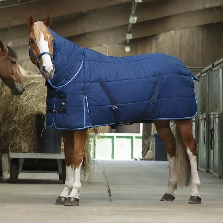 Riding World 300g Blue Combo Heavyweight Stable Rug