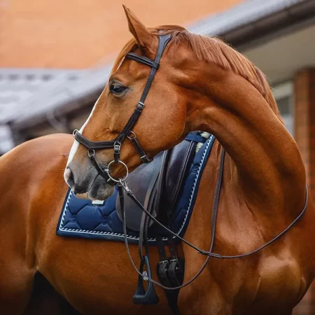 saddlery & tack
